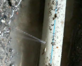 黑河市卫生间测漏水多少钱