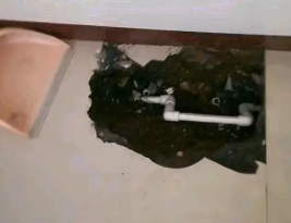 黑河市卫生间测漏水多少钱